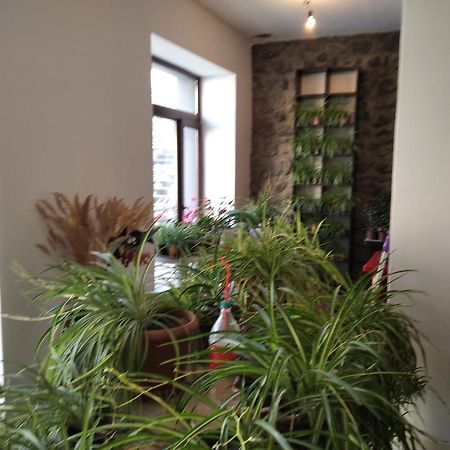 Hotel Aia Kazbegi Extérieur photo